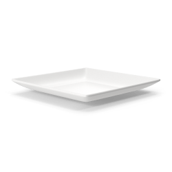Ceramic Plate Square 9.5"