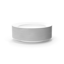 Ceramic Plate Round 12"