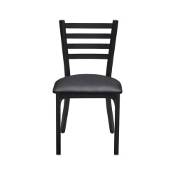 Dining Metal Chairs (Ladder)